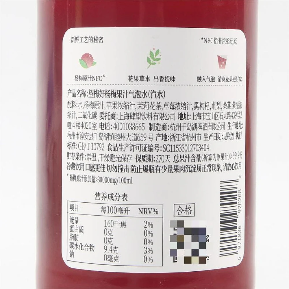 Haowangshui Yangmei Sparkling Juice - 300ml - Image 4