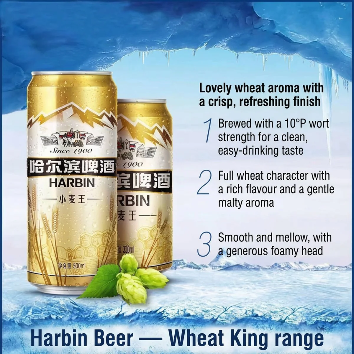 Harbin Wheat King Canned Beer 3.6% ABV - 500ml x 12 Cans - Image 5