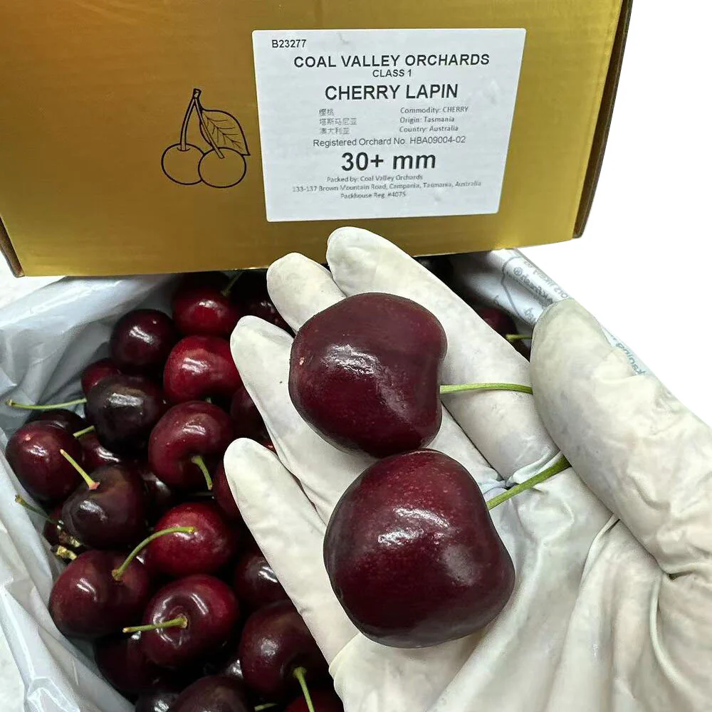 Heart of Tasmania Lapin Cherries Gift Box 2kg (30mm+) - Image 3