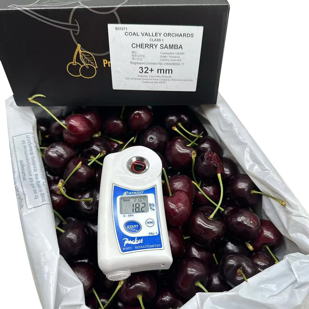 Heart of Tasmania Samba Tasmanian Cherries 32mm+ Gift Box 2kg - Image 2