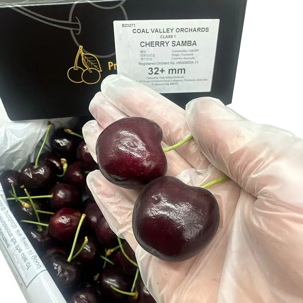 Heart of Tasmania Samba Tasmanian Cherries 32mm+ Gift Box 2kg - Image 3