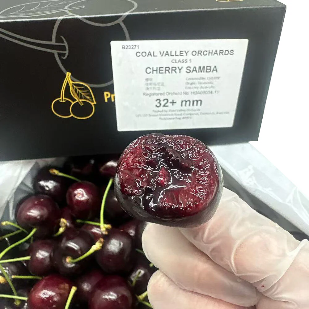 Heart of Tasmania Samba Tasmanian Cherries 32mm+ Gift Box 2kg - Image 4