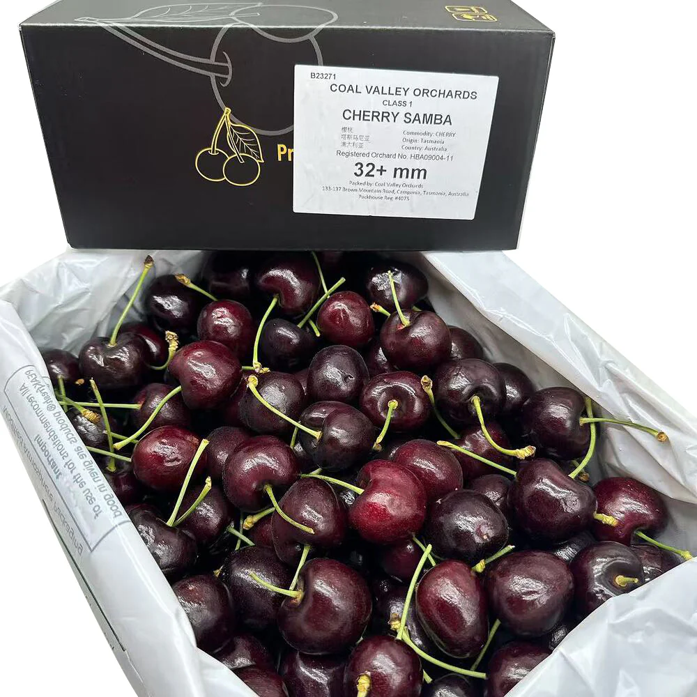 Heart of Tasmania Samba Tasmanian Cherries 32mm+ Gift Box 2kg - Image 5