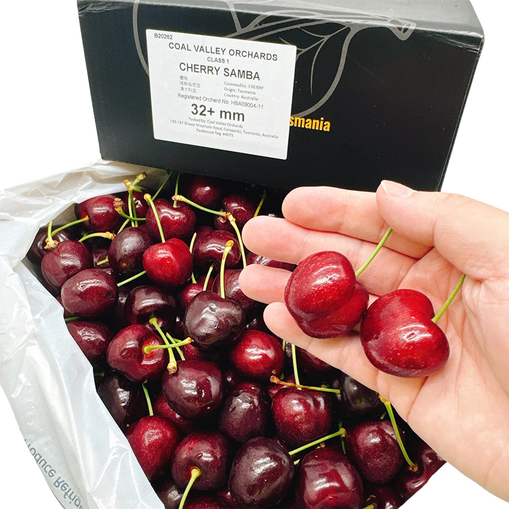 Heart of Tasmania Tasmanian Cherries Black Gold Gift Box - 2kg - Image 3