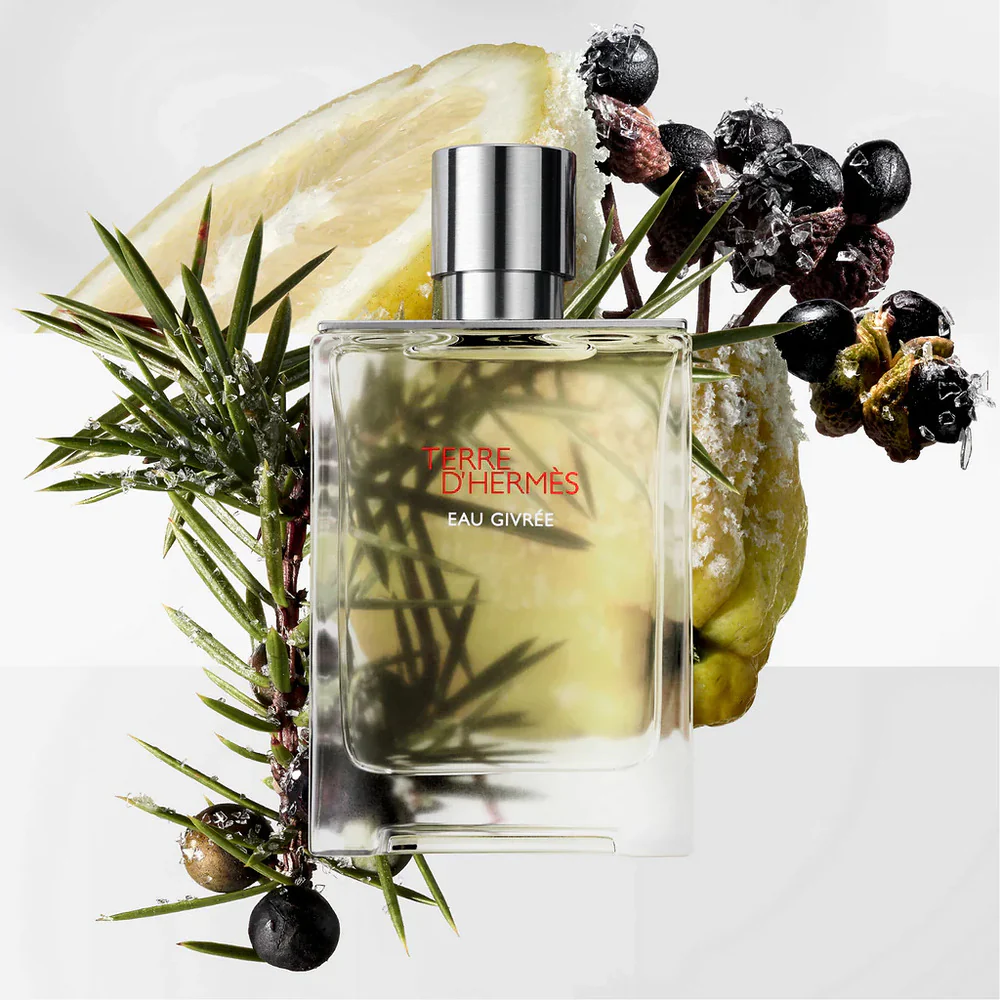 Hermès Terre d’Hermès Eau Givrée Gift Set – Eau de Parfum 100ml + Hair & Body Shower Gel 80ml - Image 2