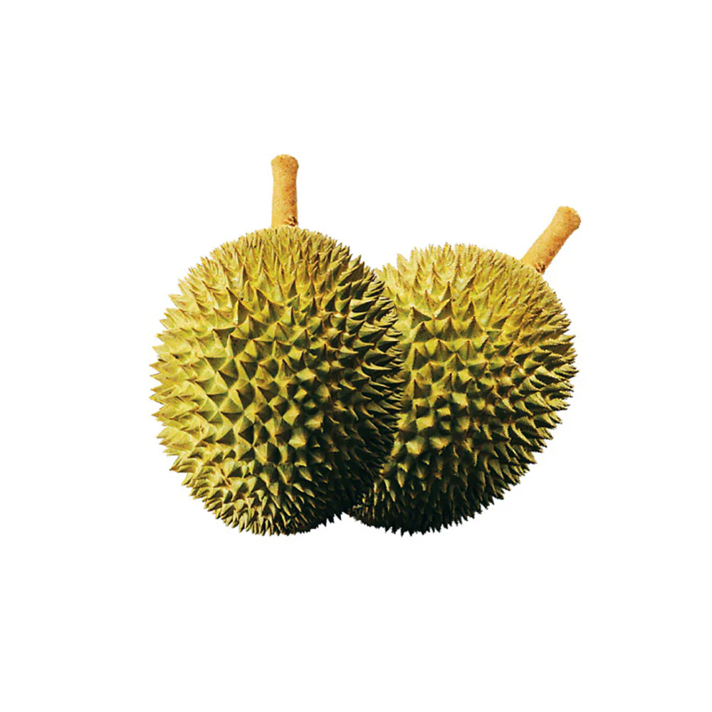 Hernan Frozen Musang King Durian - 2.8kg - Image 3