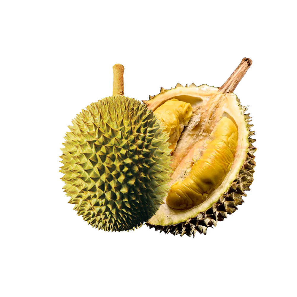 Hernan Musang King Durian 2.6kg