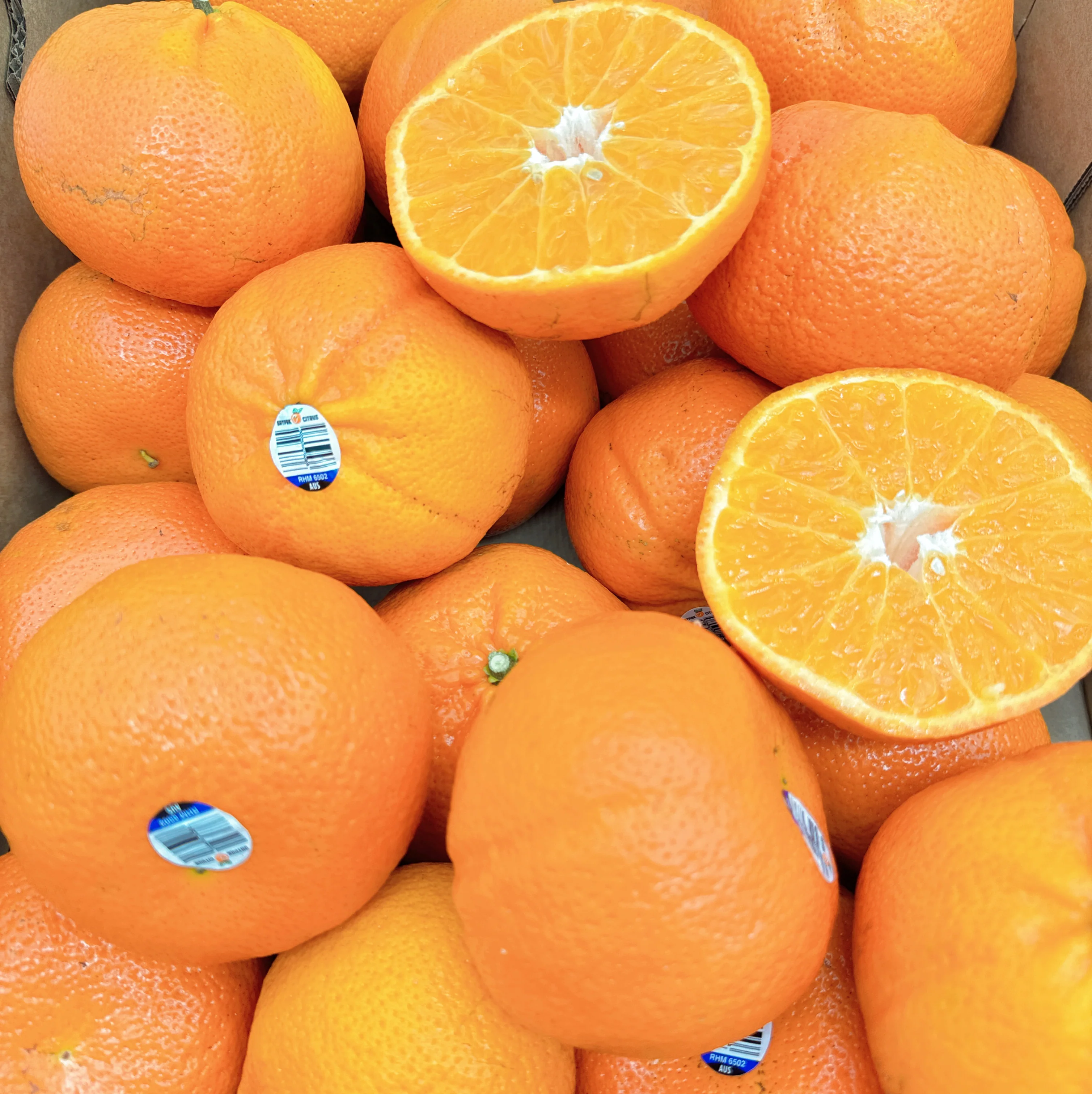 Honey Murcott Mandarins XL - 1kg