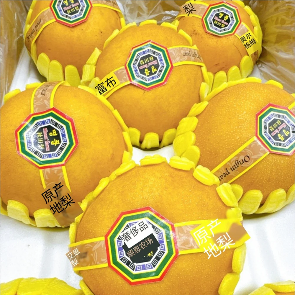 Honey Pears - Box of 8, 5kg - Image 2