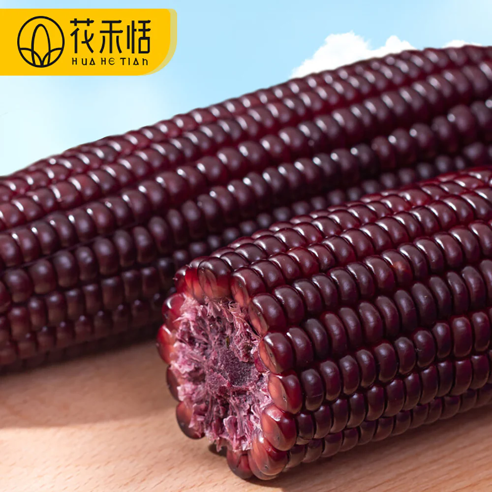 Hua He Tian Black Glutinous Corn - 200g - Image 3