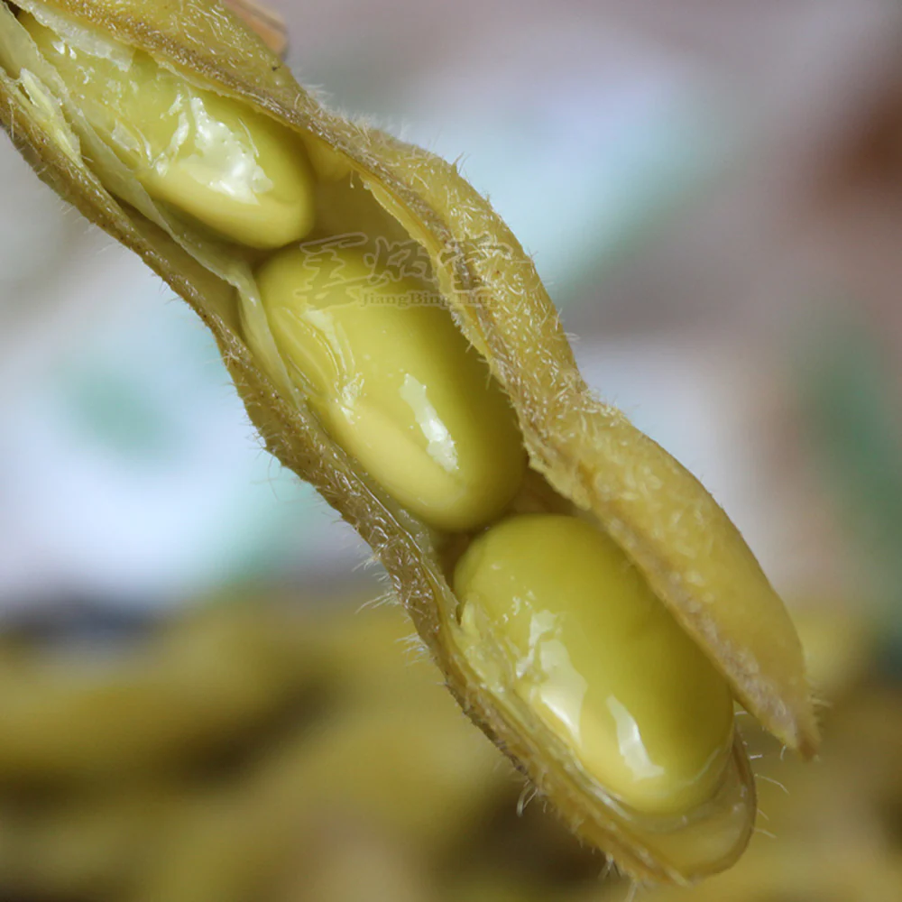 Huacheng Old Street Braised Edamame - 308g - Image 3