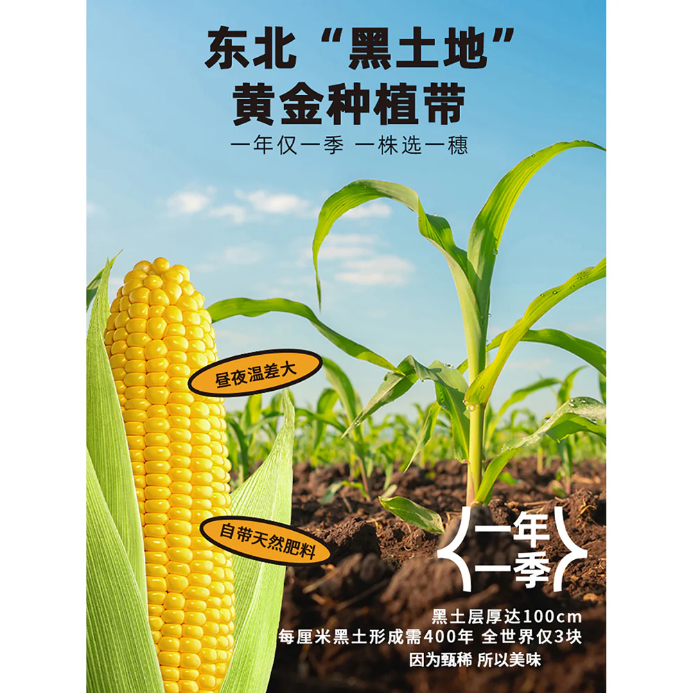 Huahetian Sweet Corn - 200g - Image 4