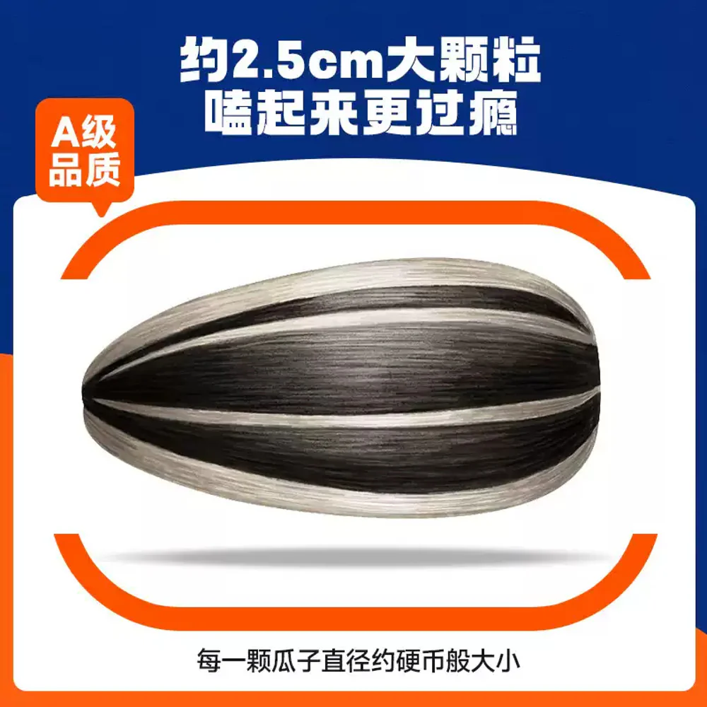 Huiji Jingangkui Original Sunflower Seeds (Large) 99g - Image 2