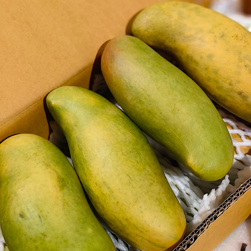 Imported Moon Bay Mangoes from Thailand - 2 Pieces - Image 2