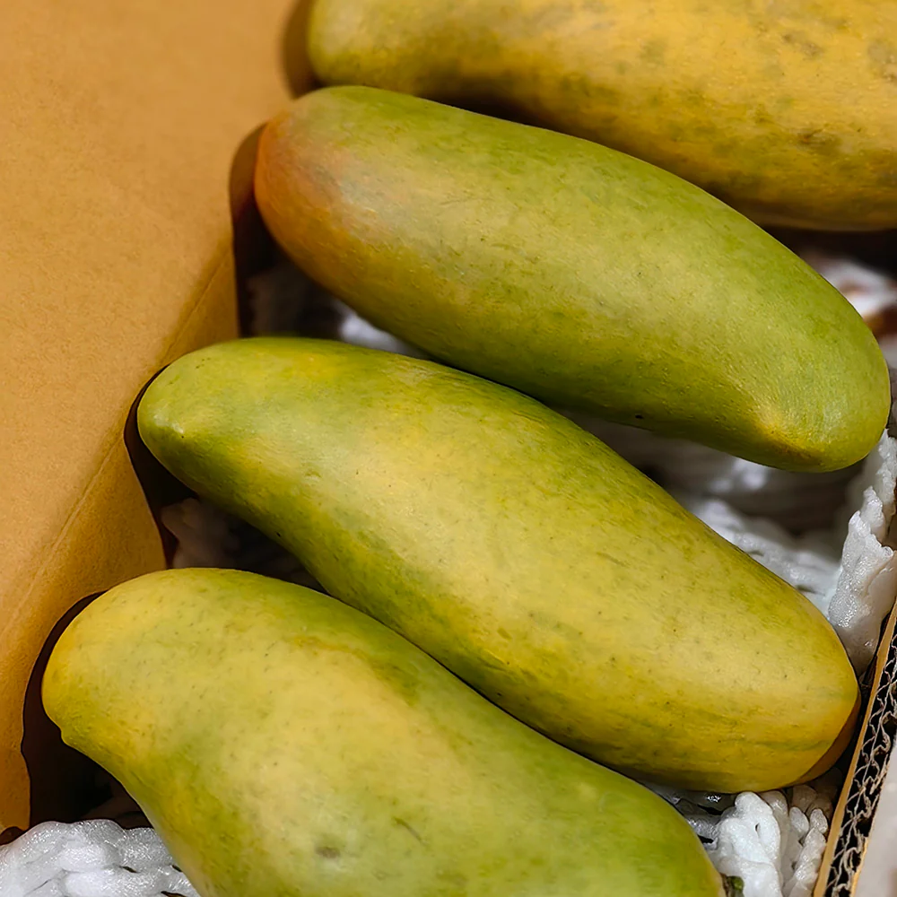 Imported Moon Bay Mangoes from Thailand - 2 Pieces - Image 3