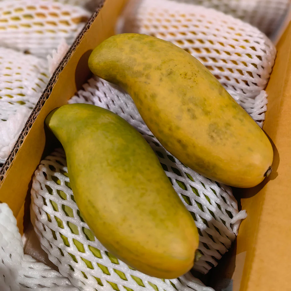 Imported Moon Bay Mangoes from Thailand - 2 Pieces - Image 4