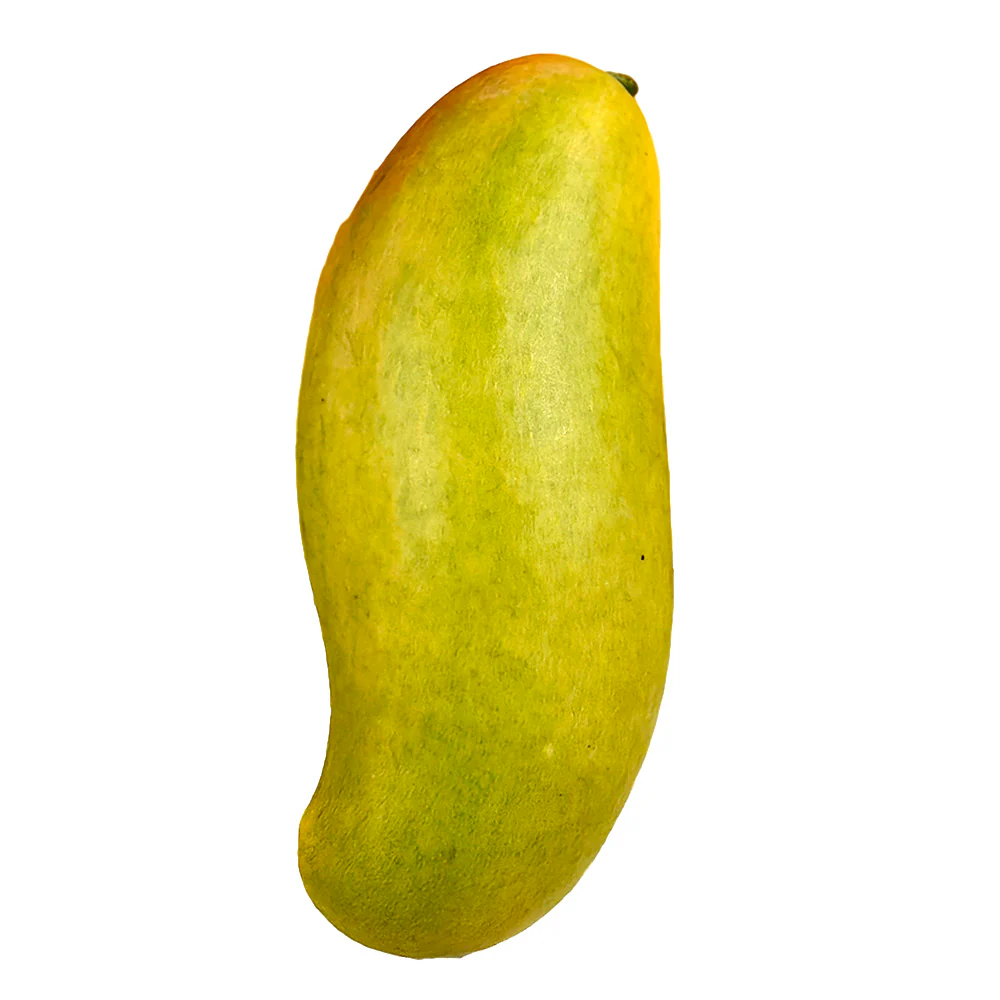 Imported Moon Bay Mangoes from Thailand - 2 Pieces - Image 5