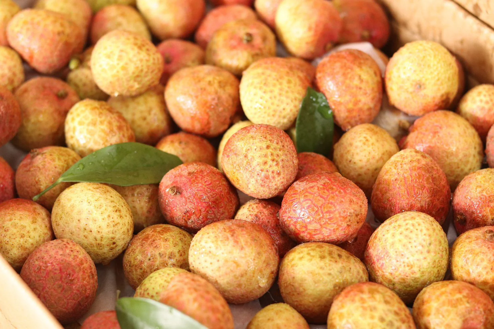 Imported Sticky Rice Lychee - 400g - Image 3
