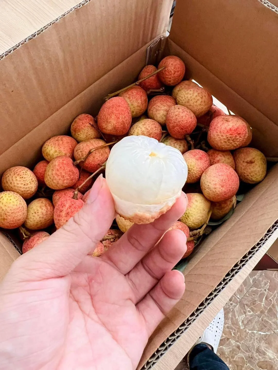 Imported Sticky Rice Lychee - 400g - Image 4