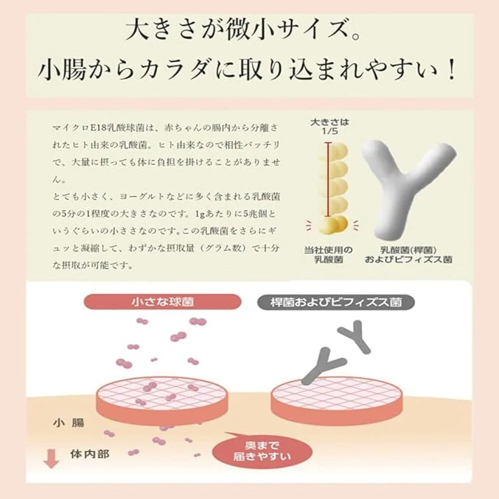 Inaba 300 Billion Probiotic Fiber Drink - 65ml - Image 2