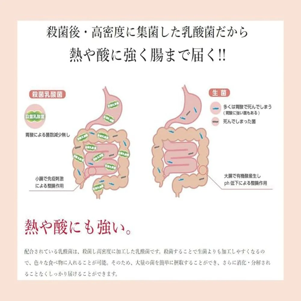 Inaba 300 Billion Probiotic Fiber Drink - 65ml - Image 3