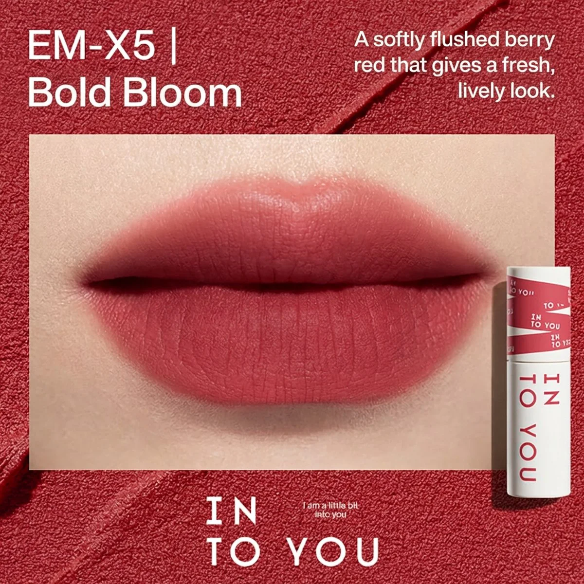 INTO YOU Dual-Use Lip and Cheek Mud EM-X5