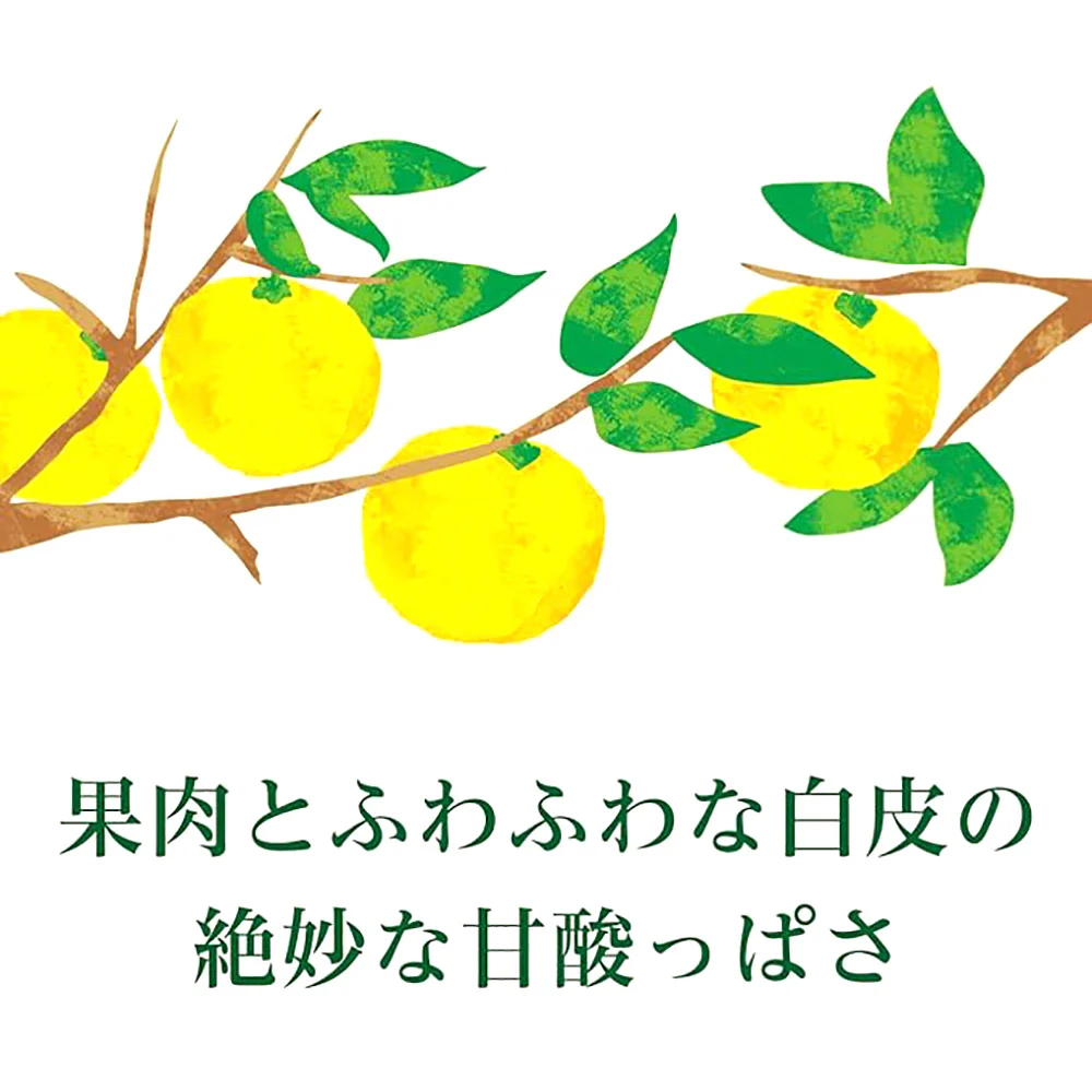 Ito En Green Tea with Orange Flavor - 500ml - Image 3