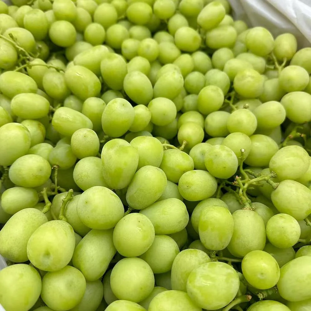 Ivory Green Grapes 1kg - Image 2