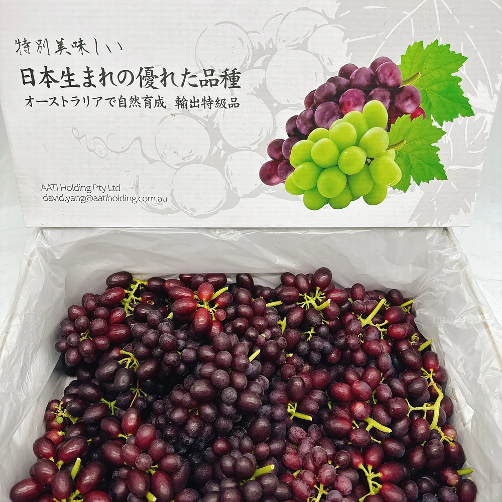 Japanese Black Muscat Grapes - Box of 3kg