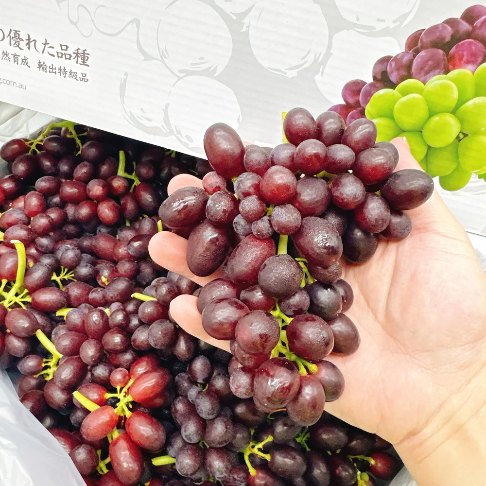 Japanese Black Muscat Grapes - Box of 3kg - Image 2