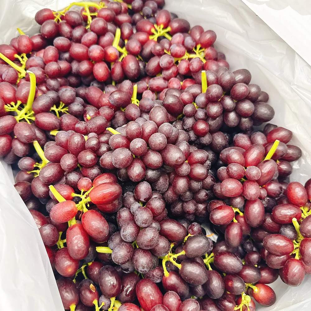Japanese Black Muscat Grapes - Box of 3kg - Image 3