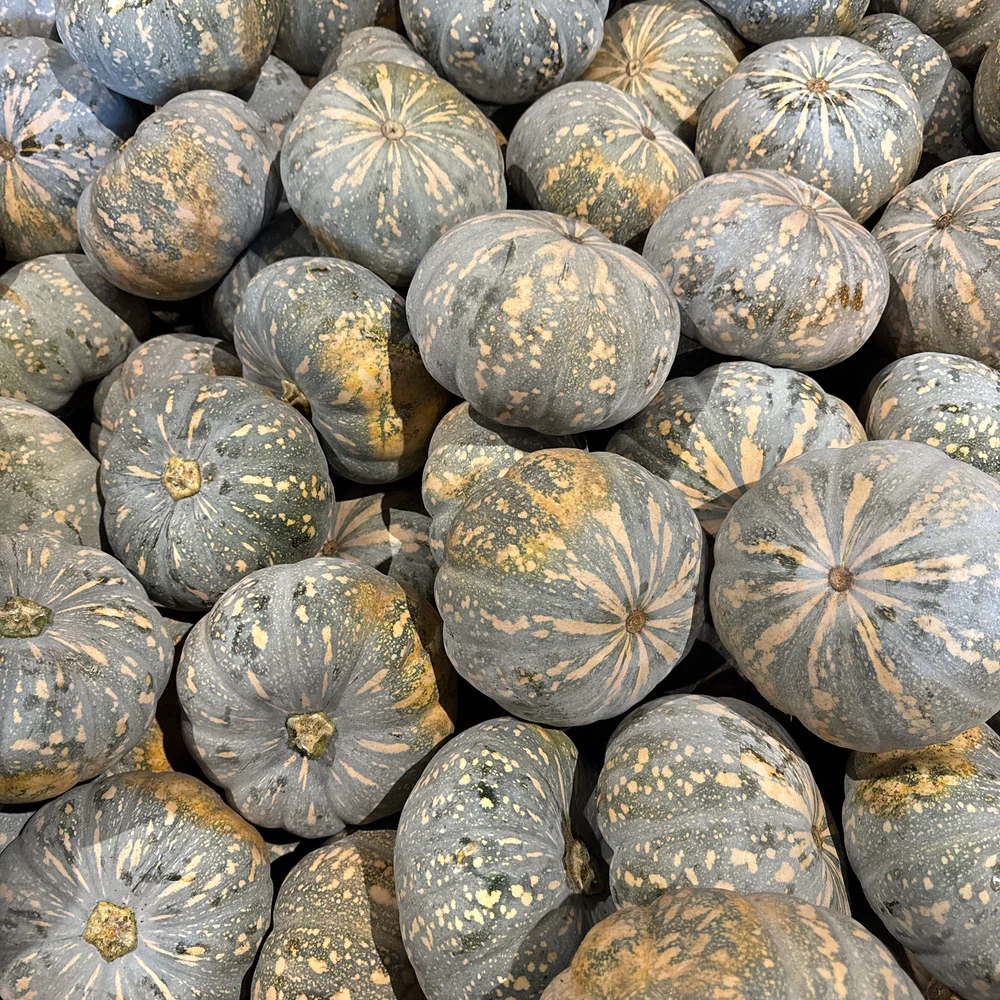 Japanese Pumpkin - 1 Piece, 1.5kg