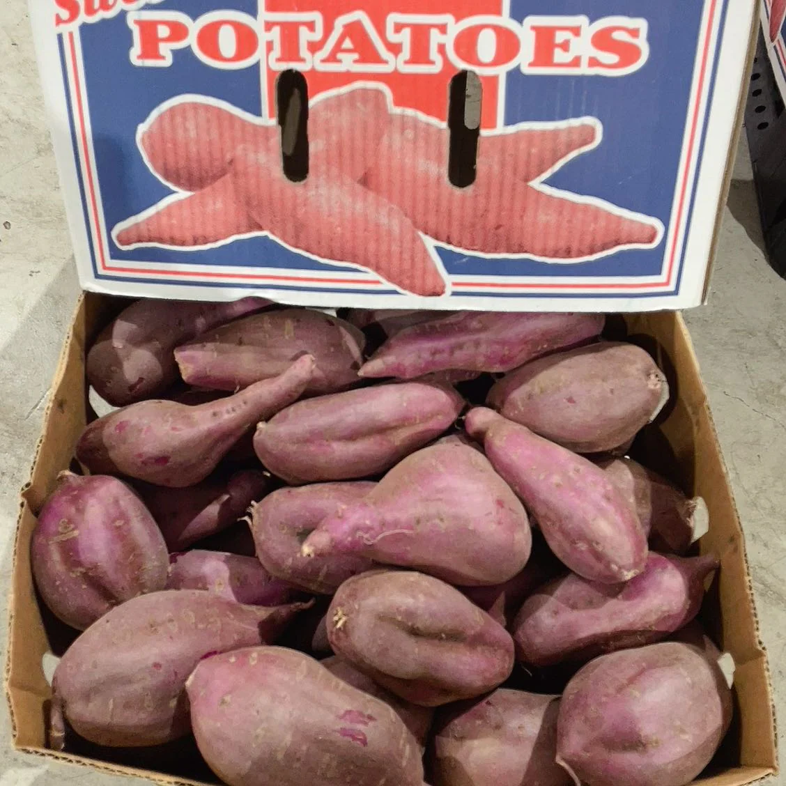 Japanese Purple Sweet Potatoes - 1kg - Image 3