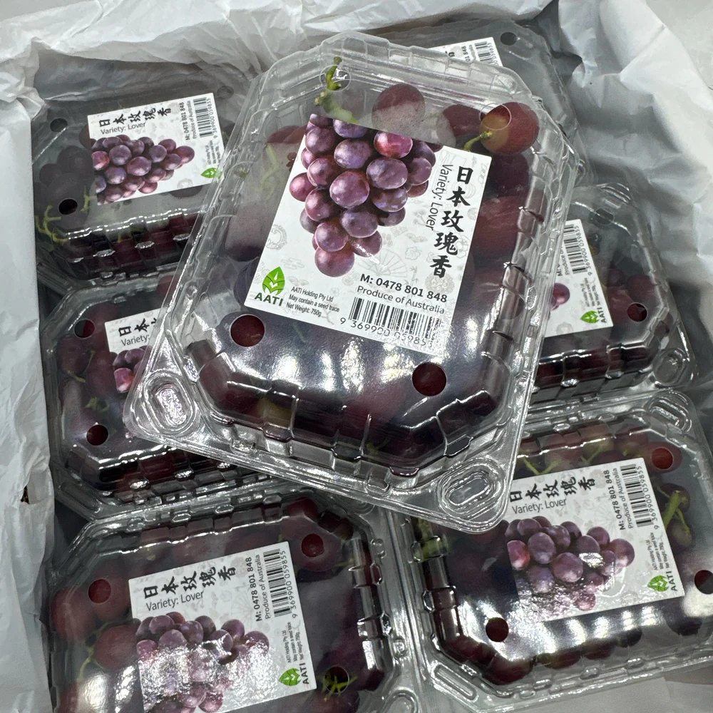 Japanese Rose Muscat Grapes - 750g - Image 2
