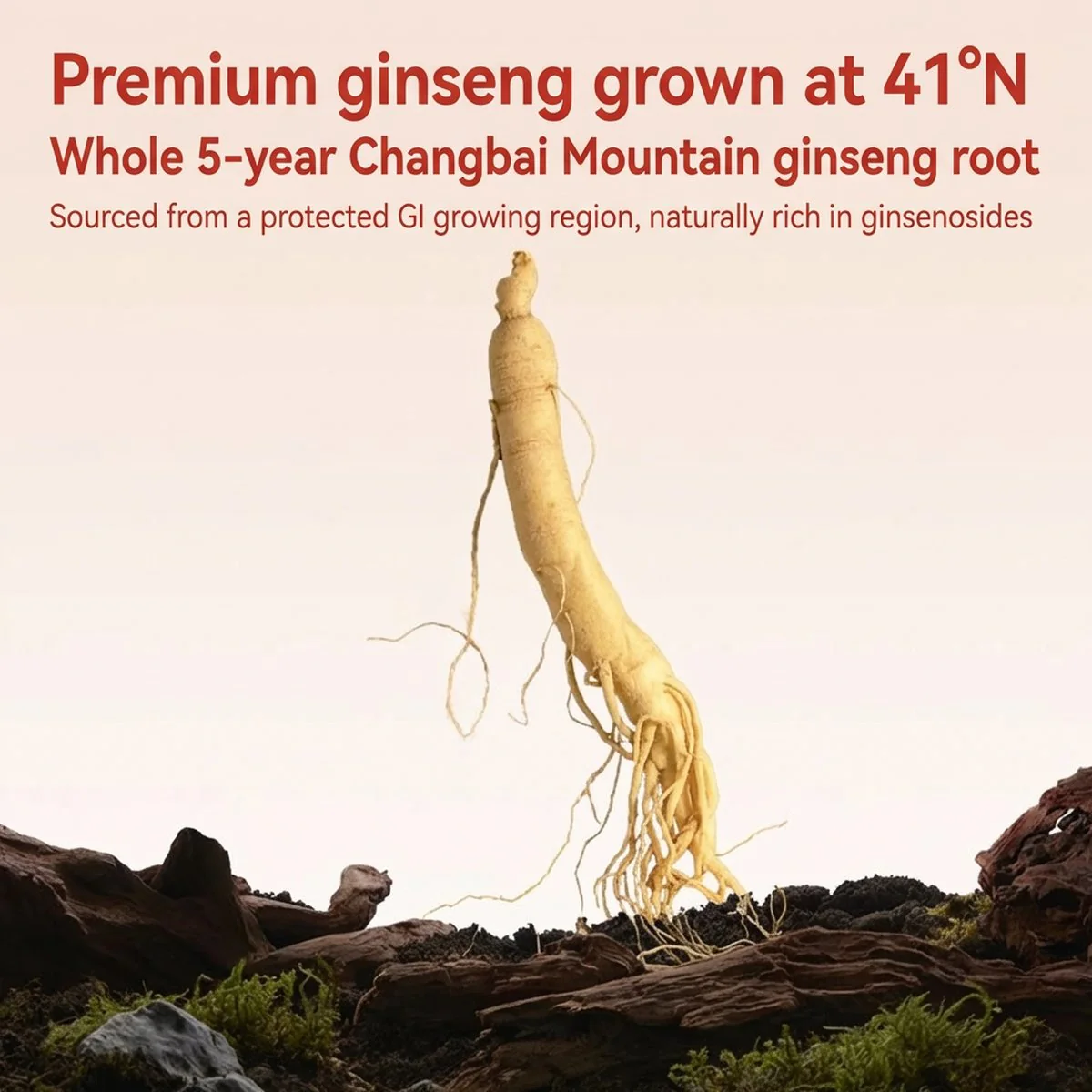 Jiaoqu Bird’s Nest Dessert with Tremella (Snow Fungus) & Ginseng – 160g x 6 - Image 3