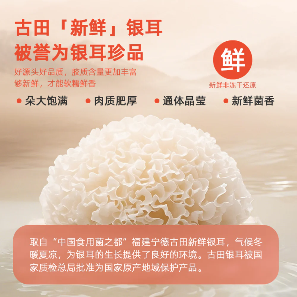 Jiaoqu Bird’s Nest Snow Fungus (Tremella) Dessert Soup 160g - Image 4