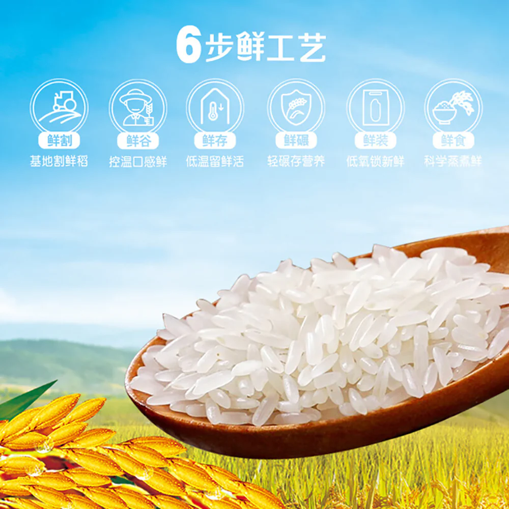 Jinlongyu WKitchen Fresh Rice, Microwave Ready in 2 Minutes - 210g - Image 3