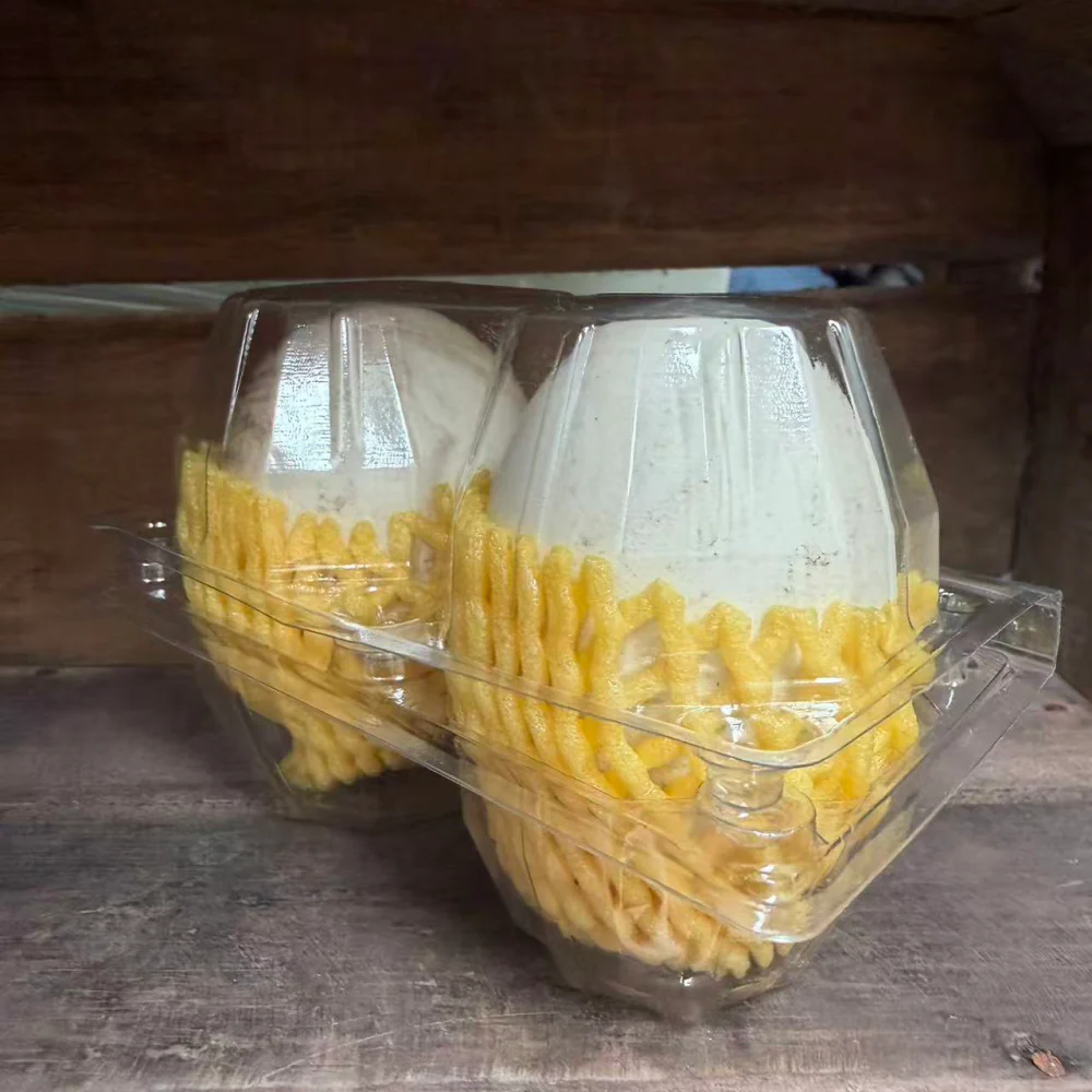 Jipo Fresh Goose Eggs - 2 Eggs (1 Box) - Image 3