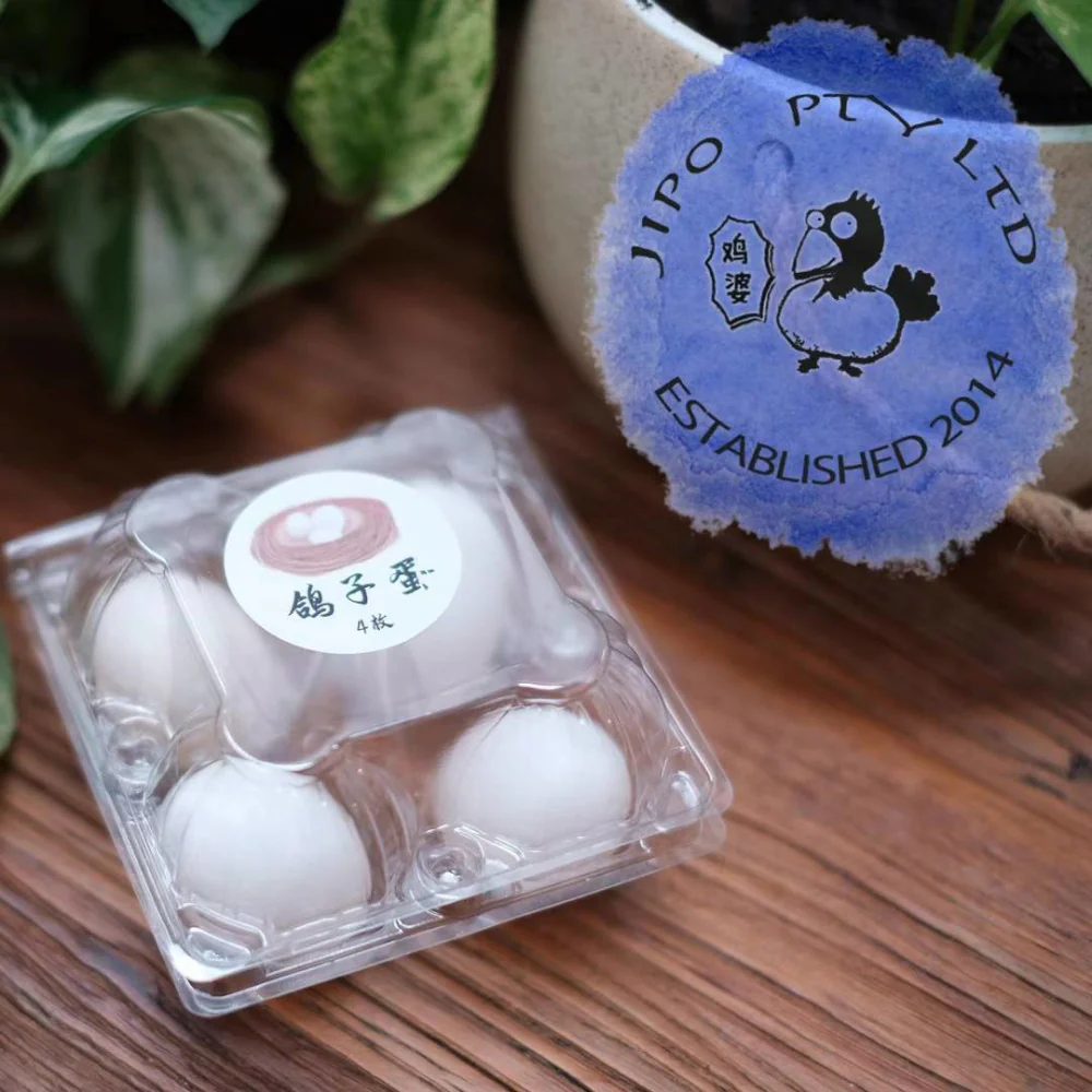 Jipo Fresh Pigeon Eggs - 4 Pieces - Image 4