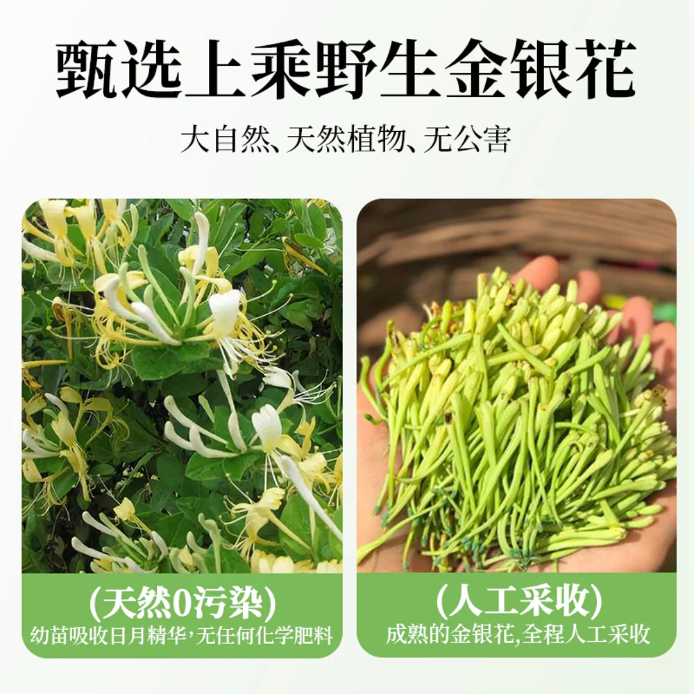 Jiuzhaitang Honeysuckle Herbal Drink 340ml - Image 3