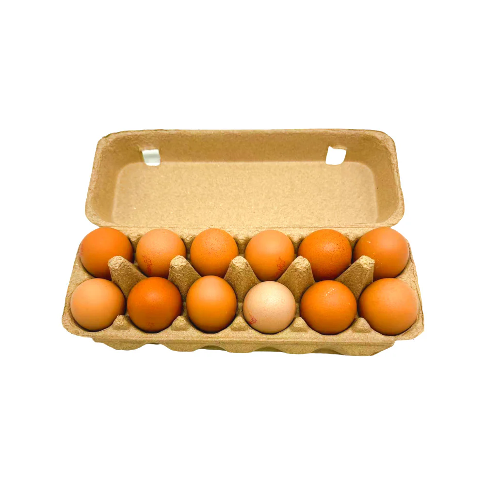 Jones Bros Cage-Free XL Eggs - 12 Pieces, 700g - Image 2