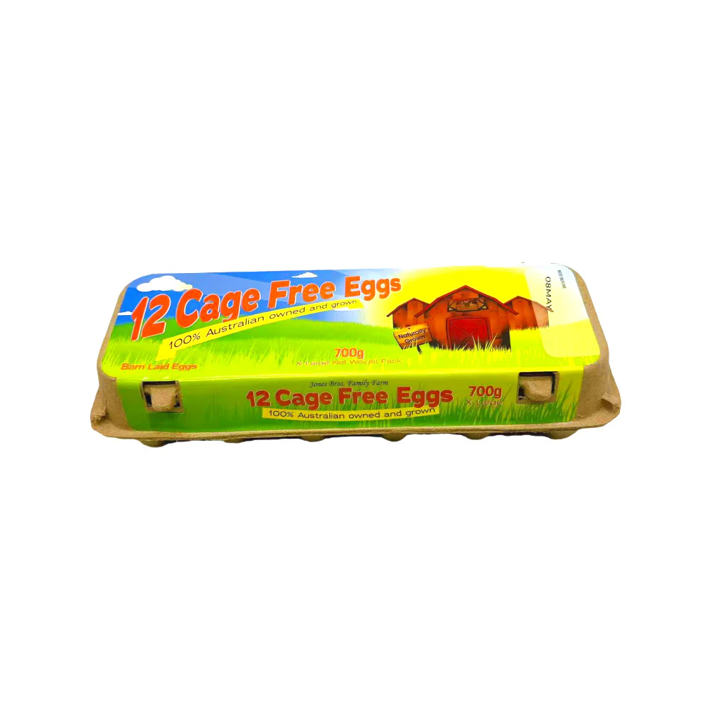 Jones Bros Cage-Free XL Eggs - 12 Pieces, 700g - Image 3