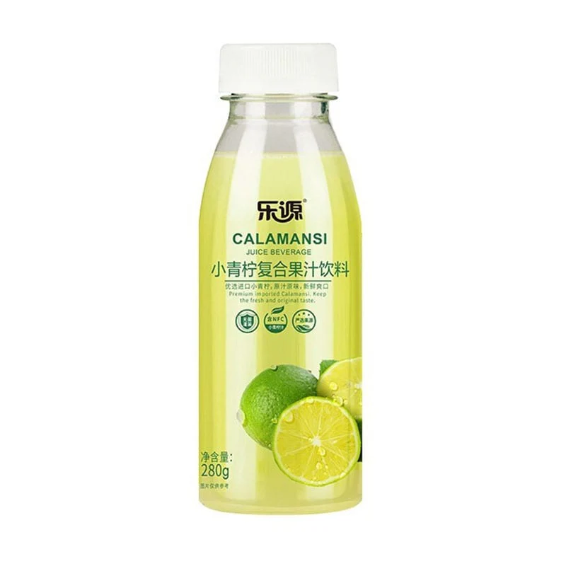 JoySource Small Green Lime Mixed Fruit Juice Drink 280ml X2