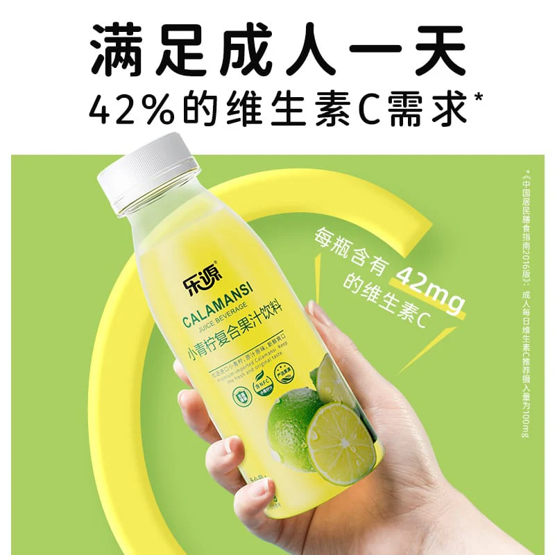 JoySource Small Green Lime Mixed Fruit Juice Drink 280ml X2 - Image 2