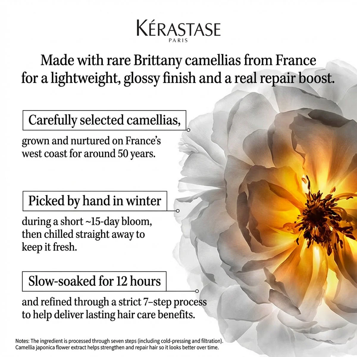 Kérastase Elixir Ultime L'Huile Originale Camellia Hair Oil 75ml - Nourishing Leave-In Shine Serum - Image 2