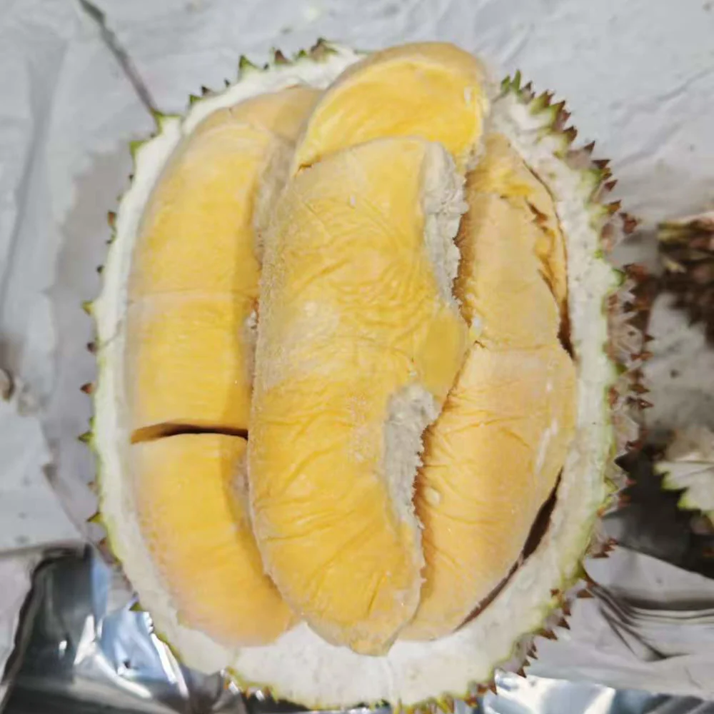 K&R Premium Frozen Musang King Durian (1800g-3000g)