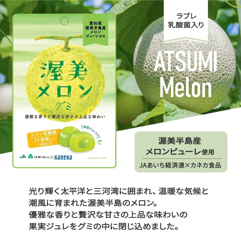 Kaneka City Limited Lactobacillus Melon Gummies - 40g - Image 3