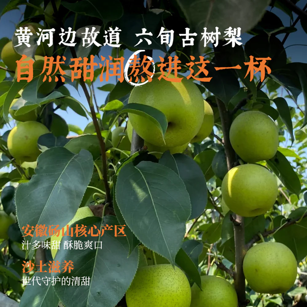 Keke Manfen Loquat & Snow Pear Herbal Tea Drink 500ml - Traditional Chinese Herbal Beverage - Image 5
