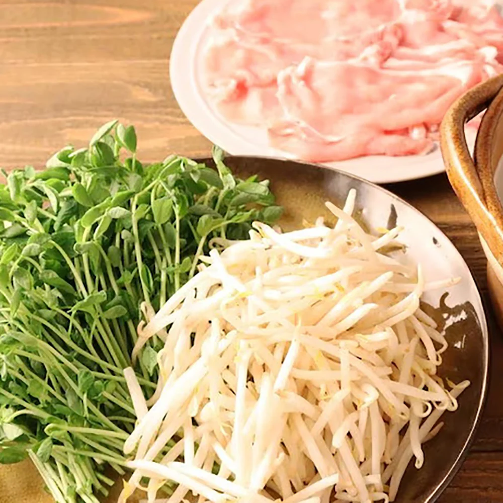 Kikkoman Rich Soy Milk Hot Pot Soup Base for 2 Servings - 156g - Image 4