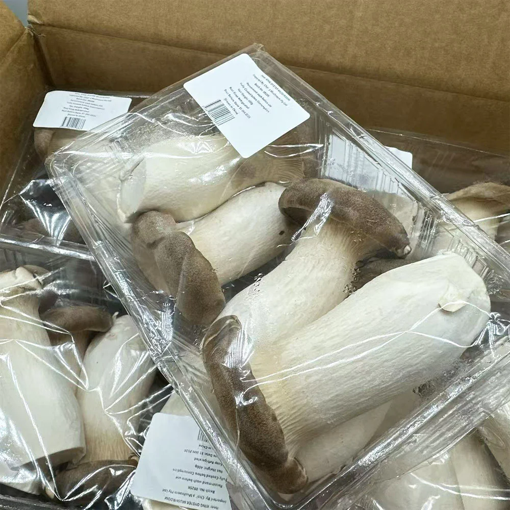 King Brown (King Oyster) Mushrooms - 400g Pack - Image 2
